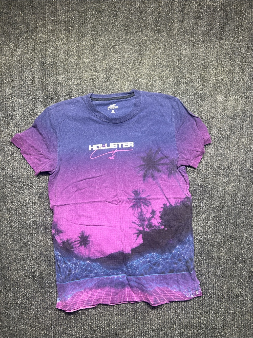 Hollister Purple to Blue Ombre Palm Graphic Tee